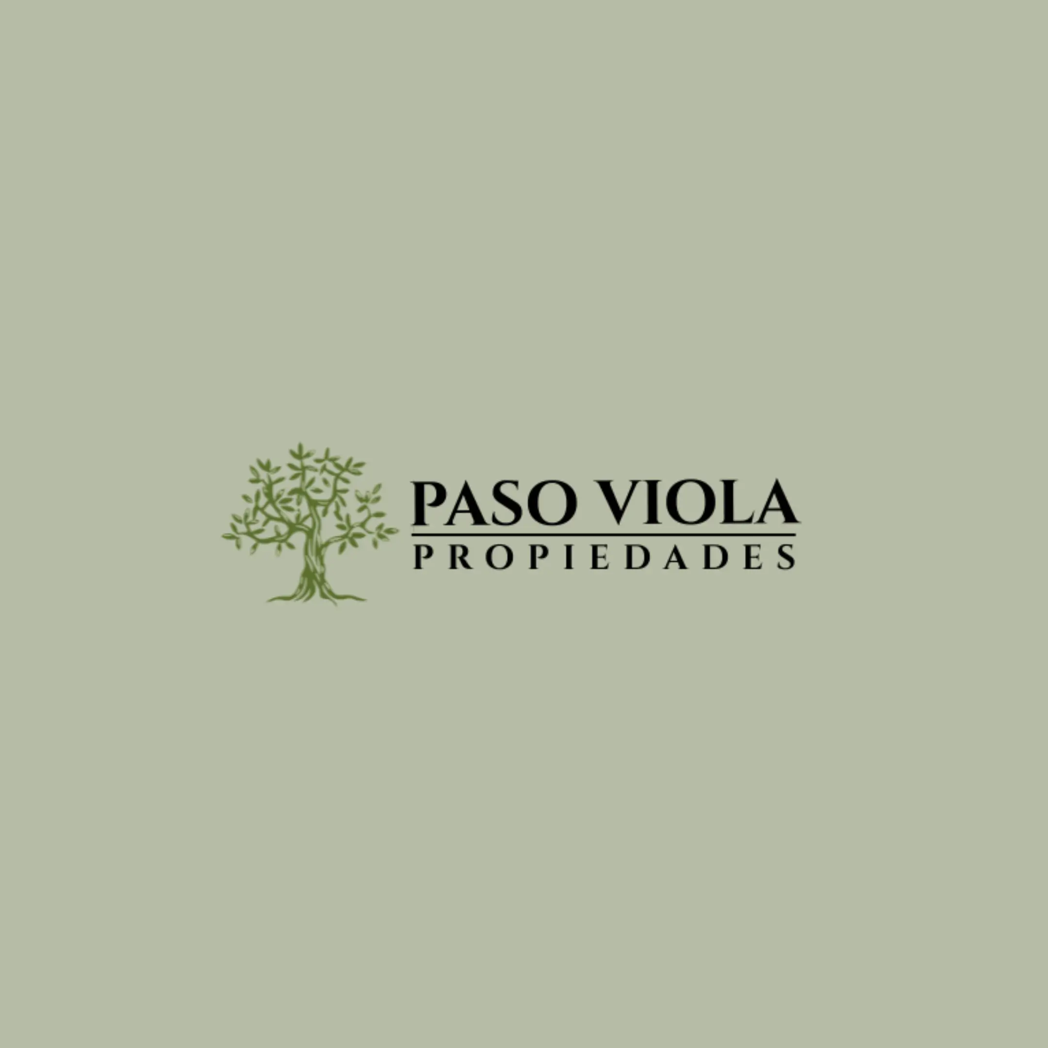 Logo de Paso Violeta